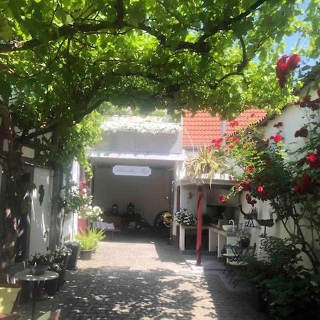 Ferienwohnung Im 'Schmoller - Hof' Neustadt an der Weinstraße Εξωτερικό φωτογραφία