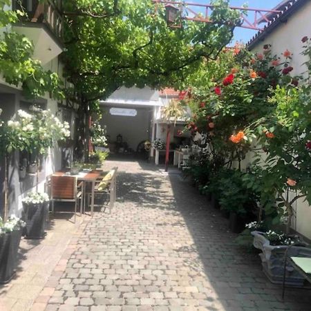 Ferienwohnung Im 'Schmoller - Hof' Neustadt an der Weinstraße Εξωτερικό φωτογραφία
