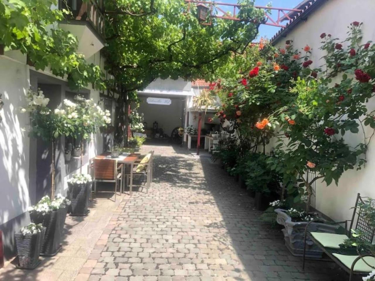 Ferienwohnung Im 'Schmoller - Hof' Neustadt an der Weinstraße Εξωτερικό φωτογραφία